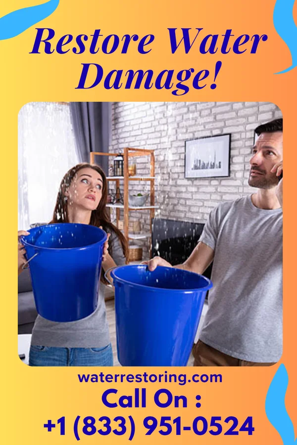 water restoration Pro Damage Restoration Services Carey