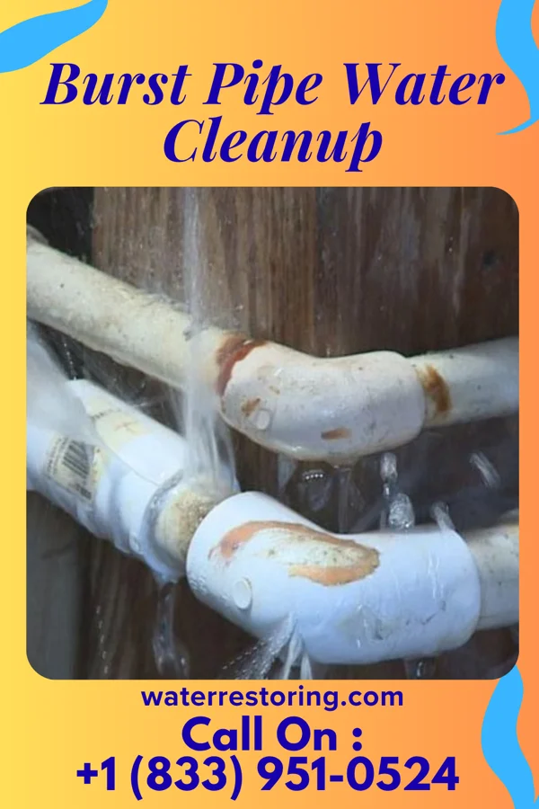 Burst Pipe Water Cleanup in Carey, OH