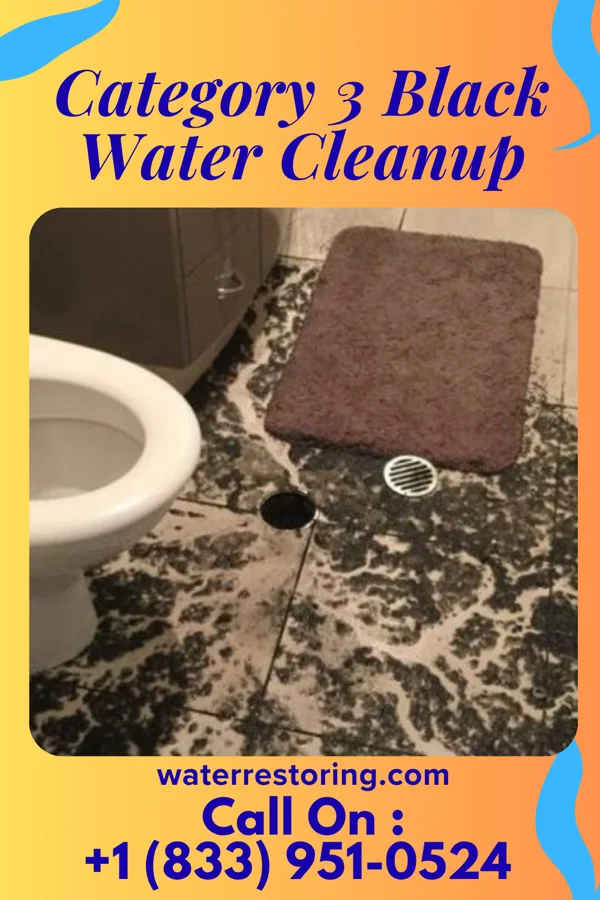 Category 3 Black Water Cleanup in Carey, OH